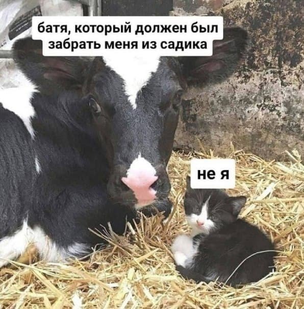 Батя который должен был забрать меня из садика - Не я