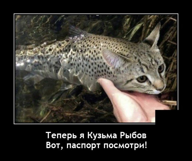 Теперь я Кузьма Рыбов - Паспорт смотри