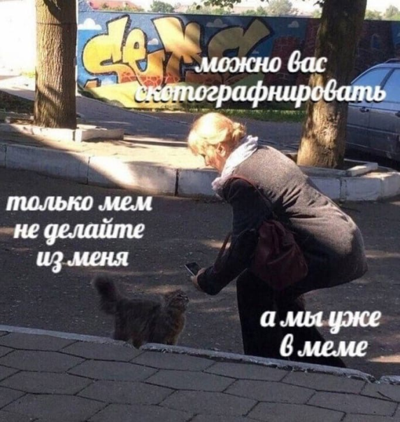 Можно вас скотографировать? - Только мем не делайте из меня - Мы уже в меме