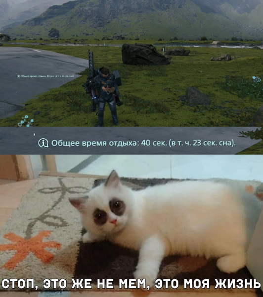 Стоп это же не мем это моя жизнь