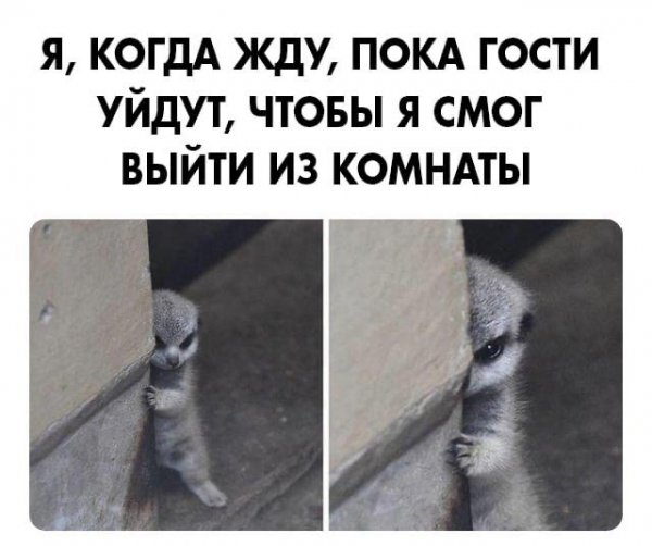 Я жду когда гости уйдут чтобы я мог выйти из комнаты