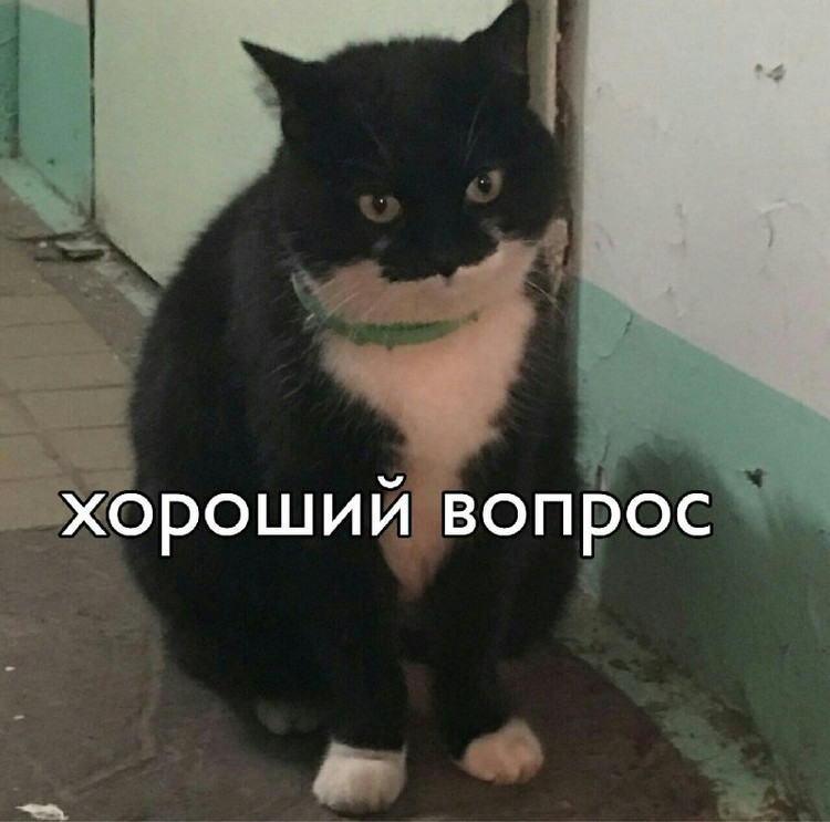 Хороший вопрос - Кот