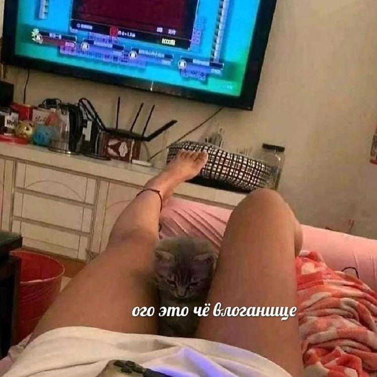 Ого это чо влоганище