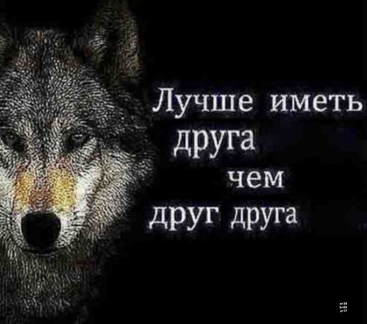 Лучше иметь друга чем друг друга