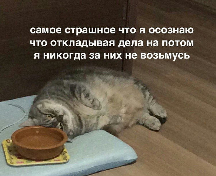 Самое страшное что я осознаю что откладывая дела я потом за них никогда не возьмусь