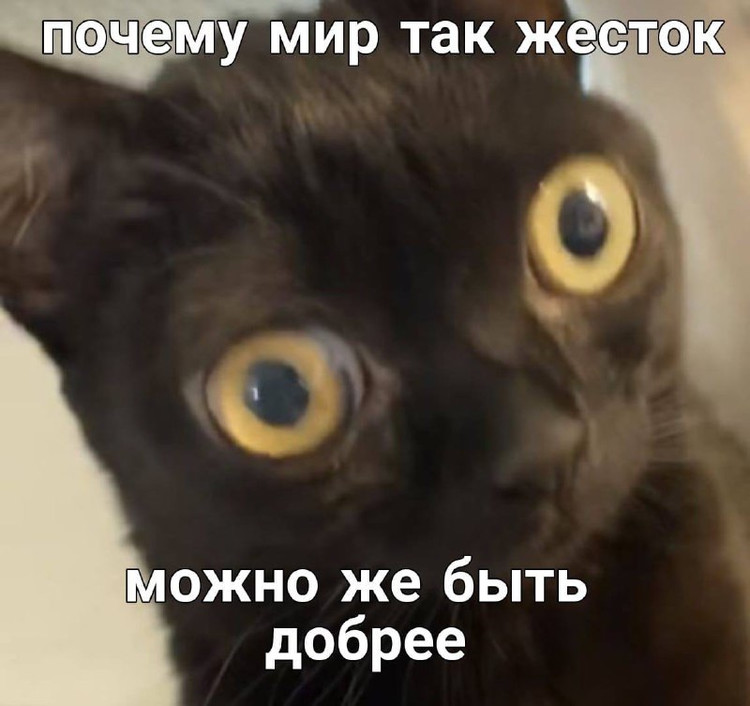 Почему мир так жесток можно же быть добрее