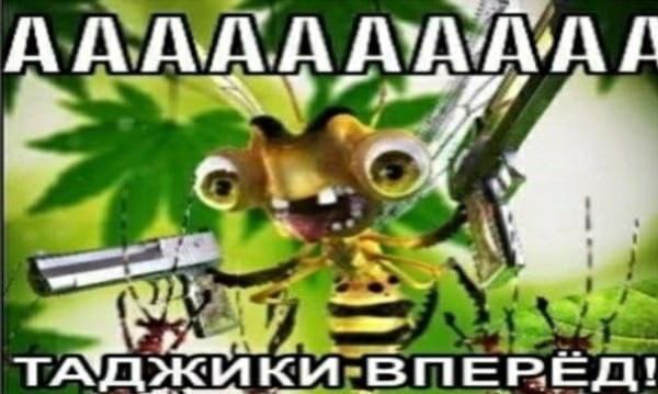 Ааа таджики вперёд