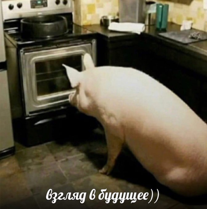 Взгляд в будущее