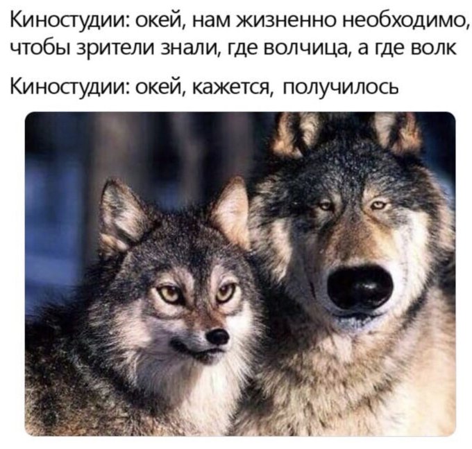 Необходимо чтобы зрители знали где волчица а где волк