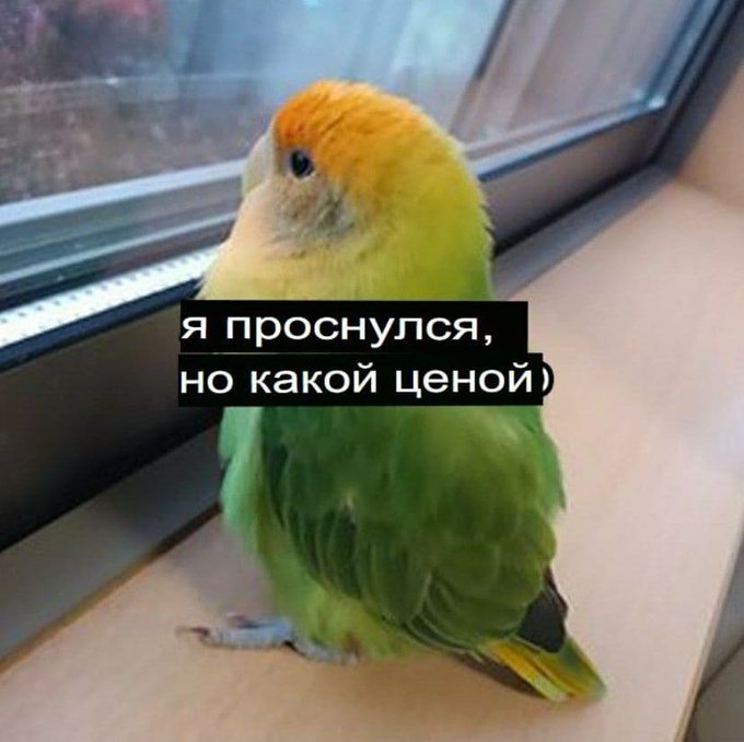 Я проснулся но какой ценой