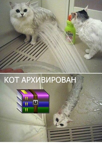 Кот архивирован