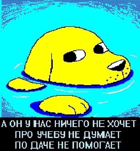 Он у нас ничего не хочет про учебу не думает на даче не помогает