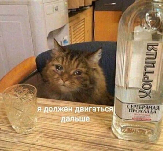 Я должен двигаться дальше - Кот - Хортиця