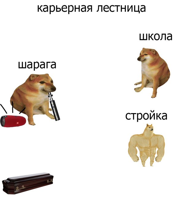 Карьерная лестница - Школа - Шарага - Стройка