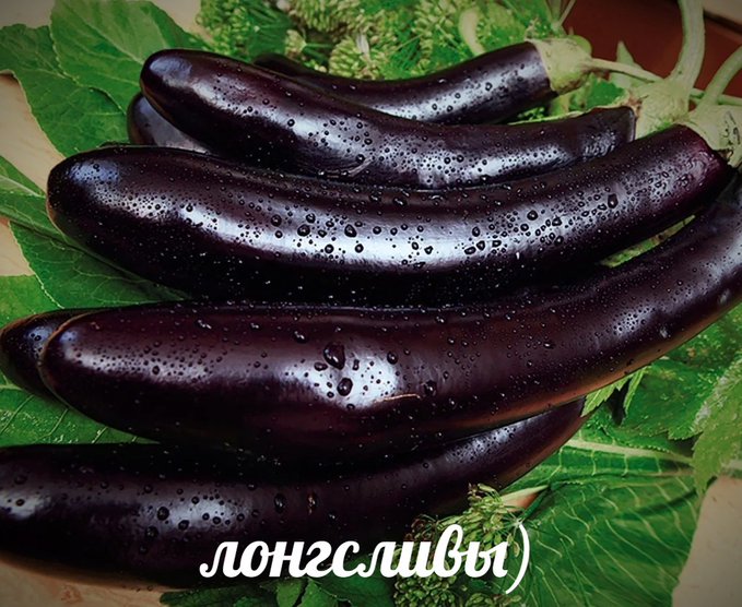 Лонгсливы