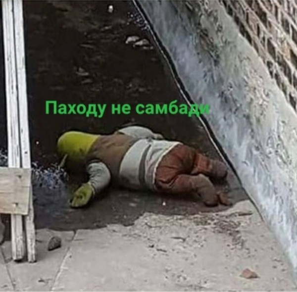 Паходу не самбади
