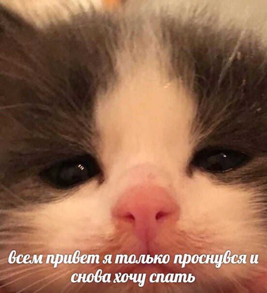 Всем привет я только проснувся и снова хочу спать
