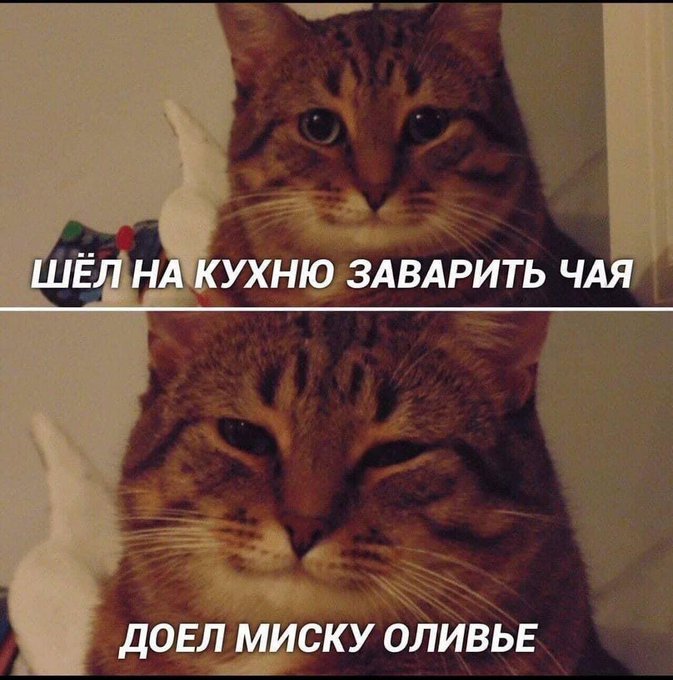 Шёл на кухню заварить чая - Доел миску оливье
