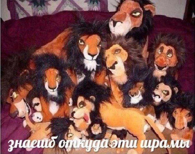 Знаешь откуда эти шрамы?