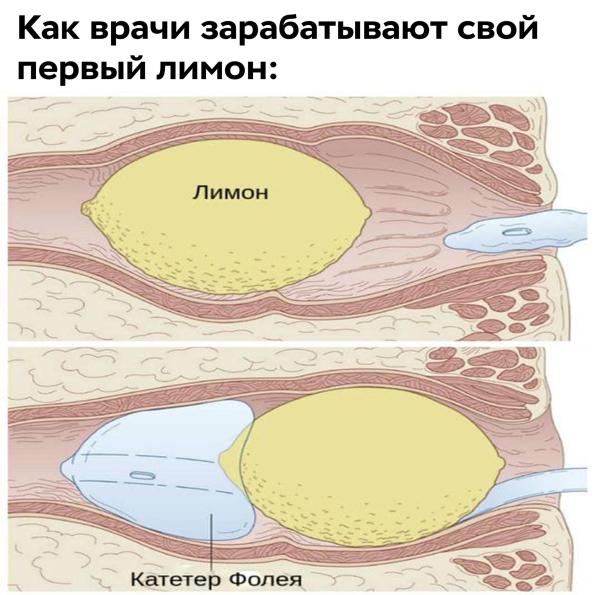 Как врачи зарабатывают свой первый лимон