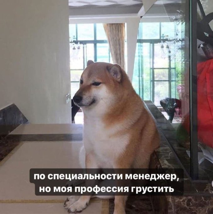 По специальности менеджер но моя профессия грустить