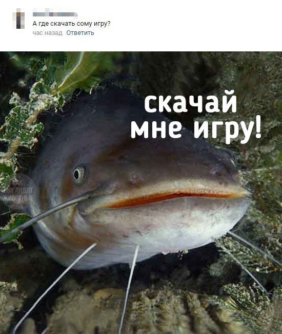 Где скачать сому игру