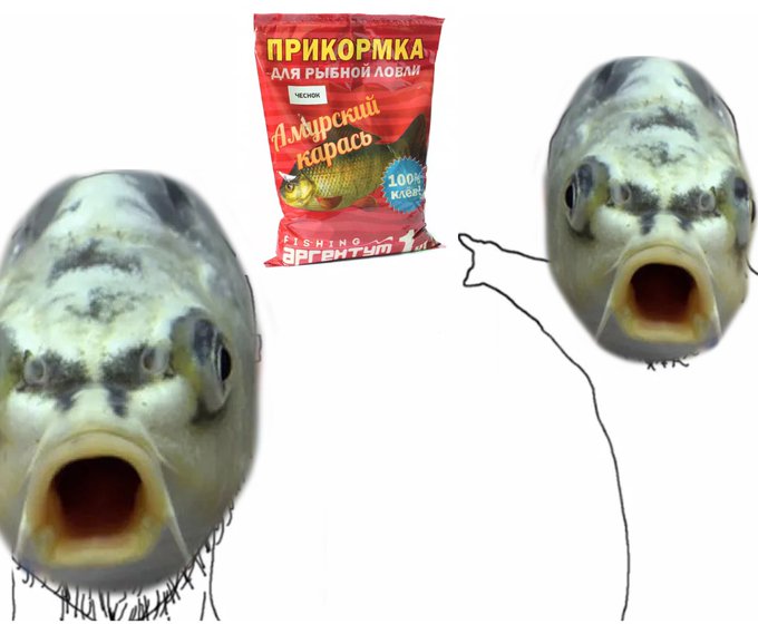Прикормка для рыбной ловли - Карась