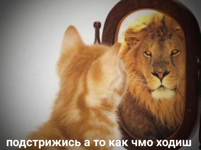 Подстрижись а то как чмо ходишь