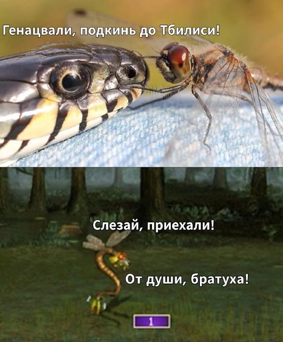 Генацвали подкинь до Тбилиси - Герои 3