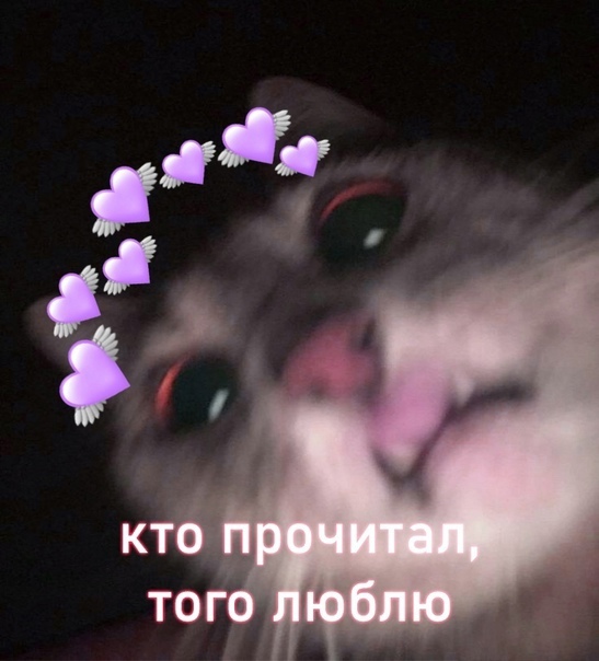Кто прочитал того люблю