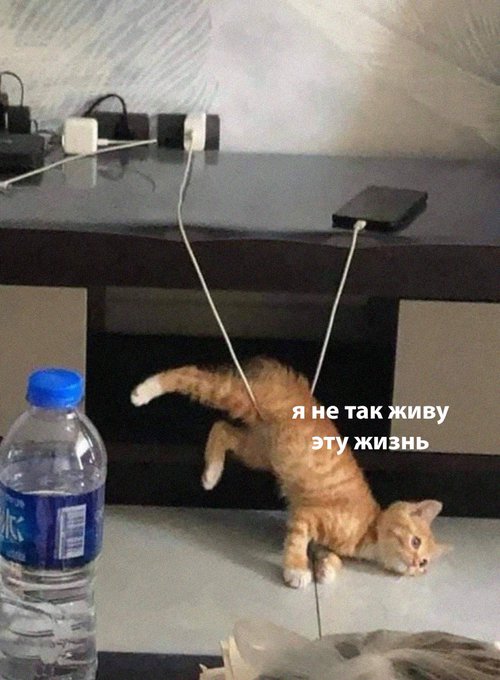 Я не так живу эту жизнь