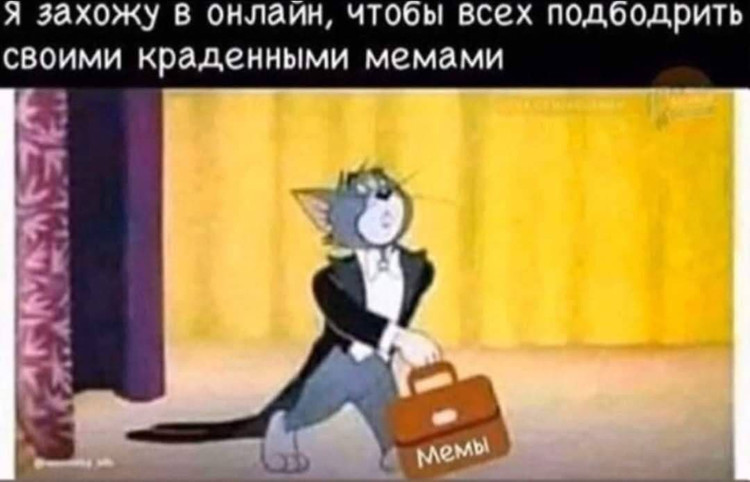 Я захожу онлайн чтобы всех подбодрить своими краденными мемами