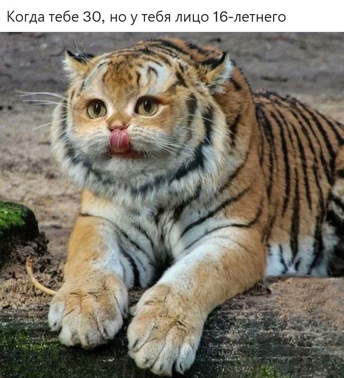 Когда тебе 30 но лицо 16-летнего